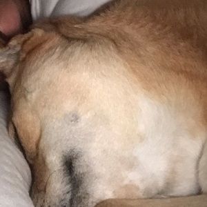 Meet your Posher, Vikki